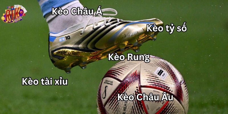 cac-loai-keo-duoc-chu-trong-tai-keo-nha-cai-rikvip